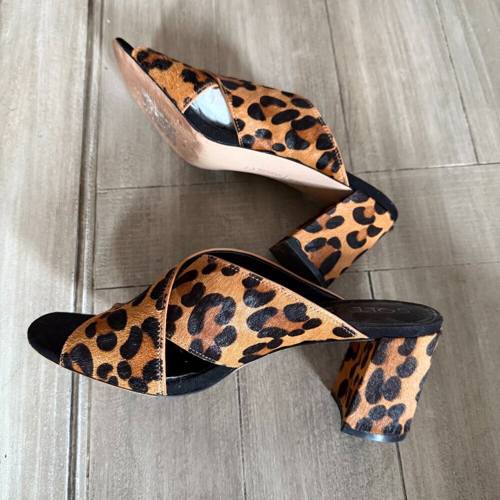 Women's Sole Society Animal Print Shoes